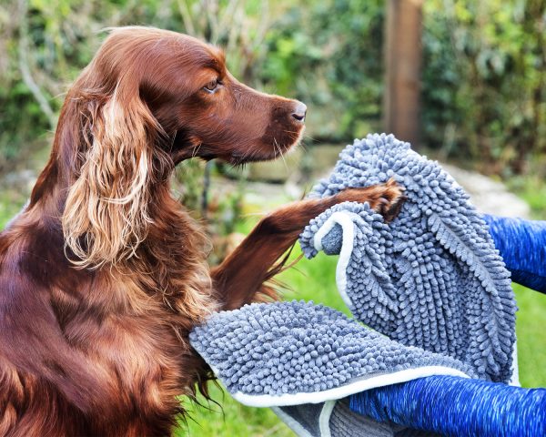 Noodle Glove Towel - Henry Wag