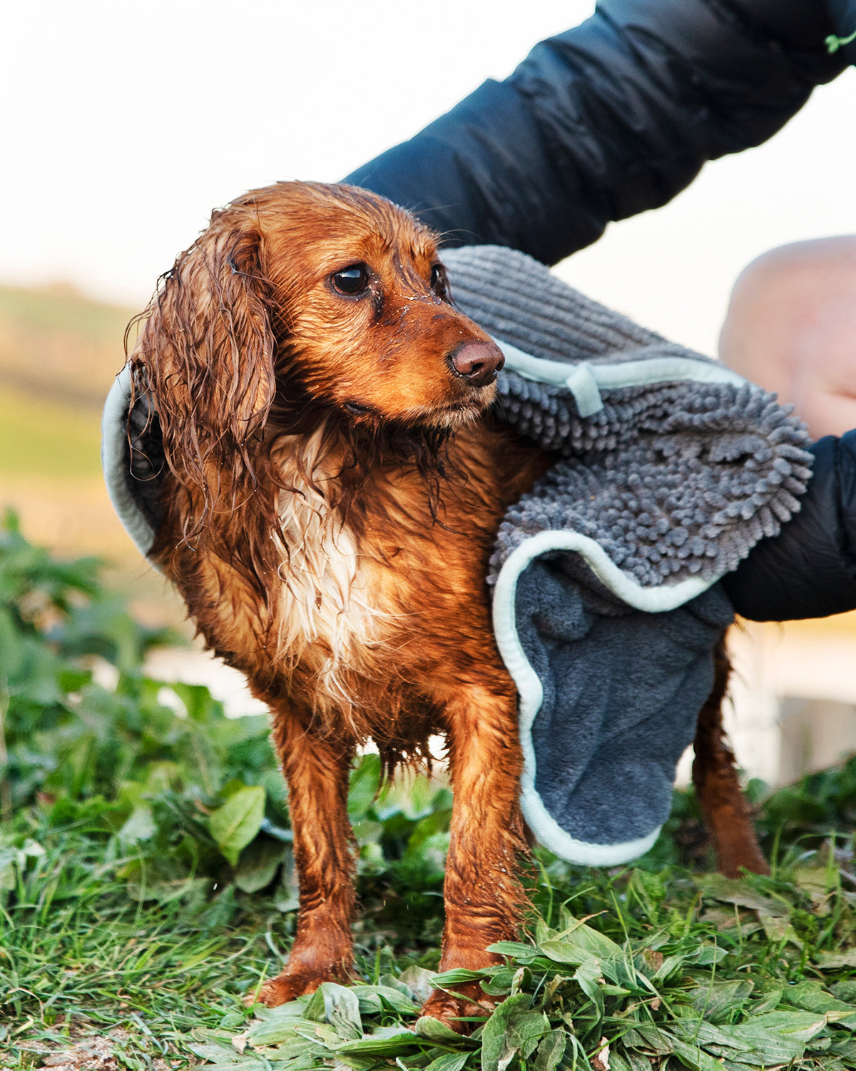 Noodle Glove Towel - Henry Wag