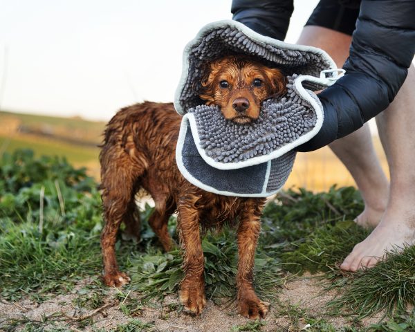 Noodle Glove Towel - Henry Wag