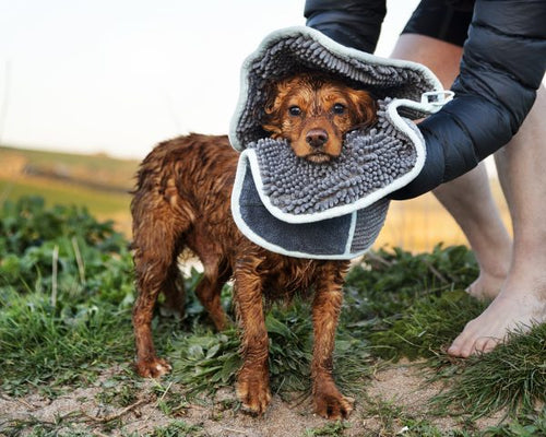 Noodle Glove Towel - Henry Wag