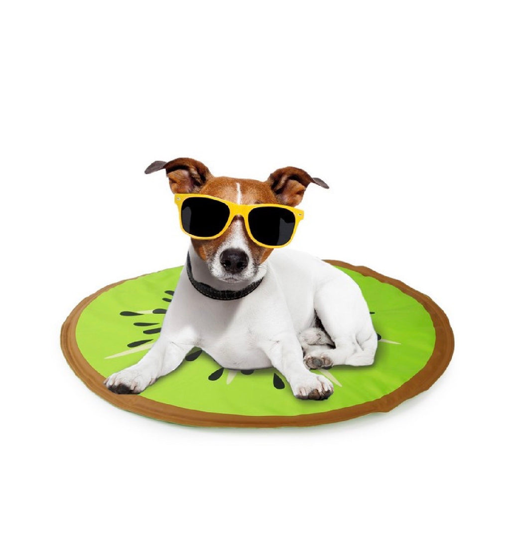 All For Paws Chill Out Kiwi Cooling Mat