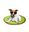 All For Paws Chill Out Kiwi Cooling Mat